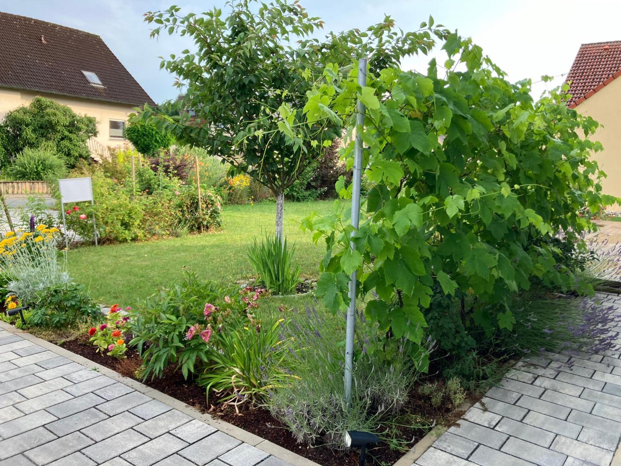 Ferienhaus Koch Bad Staffelstein Dış mekan fotoğraf